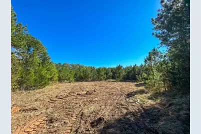 6 & 7 County Road 3121, Long Branch, TX 75669 - Photo 8