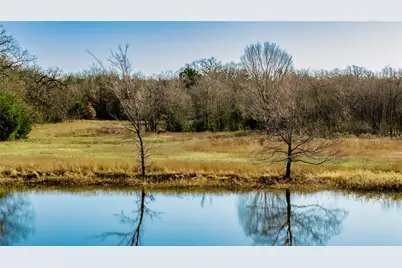 12200 Cr 2404, Seven Points, TX 75143 - Photo 4