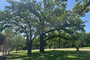 214 Hemphill St, Hico, TX 76457 - Photo 12