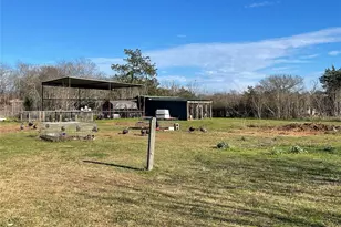 137 W Fm 489, Teague, TX 75860 - Photo 20