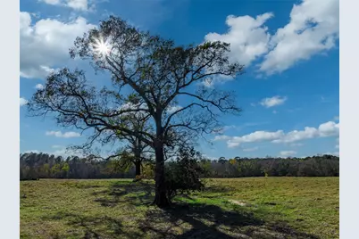 0 An County Road 153, Palestine, TX 75801 - Photo 4