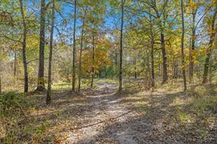 764 Vz County Road 1923, Fruitvale, TX 75127 - Photo 40