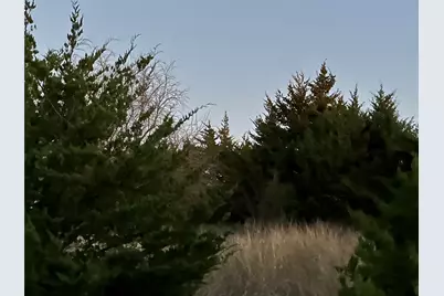 Lot 26 County Road 26050, Roxton, TX 75415 - Photo 8