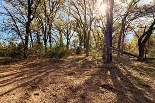 18050 Terrace Dr, Kemp, TX 75143 - Photo 2