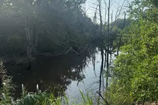 335 FM 80, Teague, TX 75860 - Photo 4