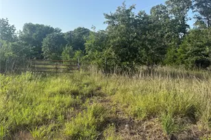 335 FM 80, Teague, TX 75860 - Photo 2