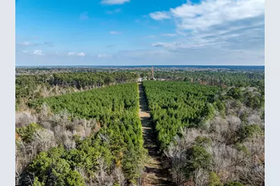 Tbd Tom Woodley Rd, Marshall, TX 75672 - Photo 4