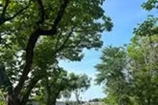 414 Kelly Ln, Seven Points, TX 75143 - Photo 1