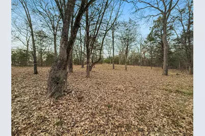 344 Rs County Road 4254, Point, TX 75472 - Photo 18