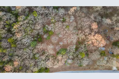 290 Rs County Road 4254, Point, TX 75472 - Photo 22