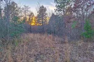 Tbd County Road 2920, Hughes Springs, TX 75656 - Photo 18