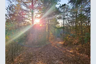 Tbd County Road 2920, Hughes Springs, TX 75656 - Photo 2