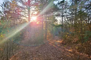 Tbd County Road 2920, Hughes Springs, TX 75656 - Photo 2