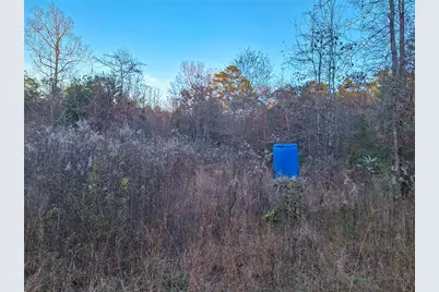 Tbd County Road 2920, Hughes Springs, TX 75656 - Photo 26