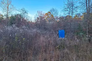 Tbd County Road 2920, Hughes Springs, TX 75656 - Photo 26