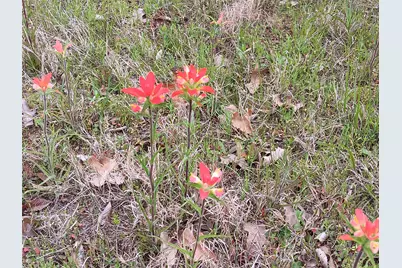 Tbd County Road 2256, Valley View, TX 76272 - Photo 16