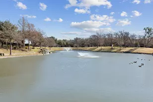 28 Emerald Pond Dr, Frisco, TX 75034 - Photo 28