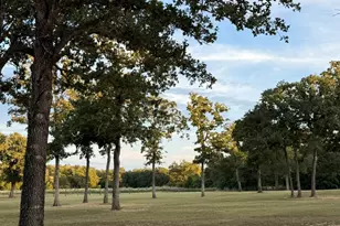 1032 Private Rd 7039, Lexington, TX 78947 - Photo 6