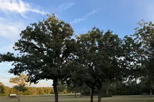 1032 Private Rd 7039, Lexington, TX 78947 - Photo 10