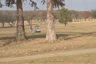 3 E Townhouse Ln, Grand Prairie, TX 75052 - Photo 16