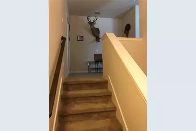 2412 Jill Creek Drive, Little Elm, TX 75068 - Photo 10