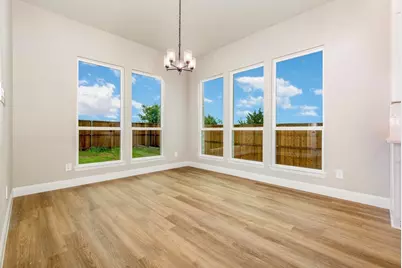 161 Malabar Hill Drive, Prosper, TX 75078 - Photo 12