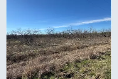 2.29Acres Boren Private Road, Wortham, TX 76693 - Photo 6