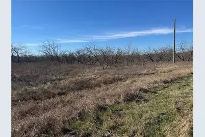 2.29Acres Boren Private Road, Wortham, TX 76693 - Photo 12