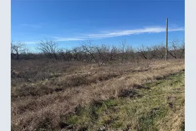 2.29Acres Boren Private Road, Wortham, TX 76693 - Photo 10