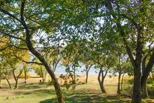 558 Jay, Shady Shores, TX 76208 - Photo 20