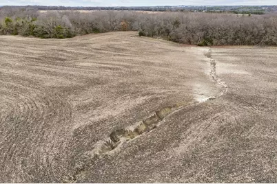 9995 Fm 2862, Anna, TX 75409 - Photo 12