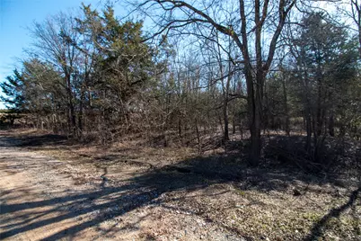 Lot 5 County Road 2905, Dodd City, TX 75438 - Photo 8