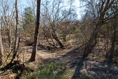 Lot 5 County Road 2905, Dodd City, TX 75438 - Photo 6