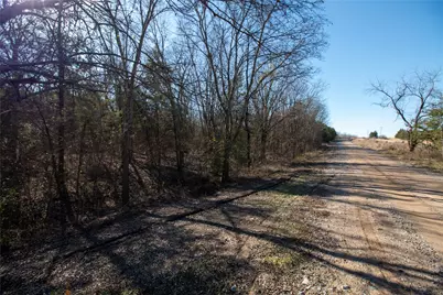 Lot 1 County Road 2905, Dodd City, TX 75438 - Photo 2