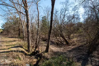 Lot 1 County Road 2905, Dodd City, TX 75438 - Photo 1