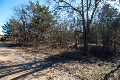 Lot 3 County Road 2905, Dodd City, TX 75438 - Photo 8