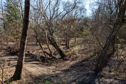 Lot 3 County Road 2905, Dodd City, TX 75438 - Photo 4