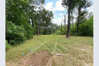 136 Buffalo Springs Road, Mabank, TX 75156 - Photo 4