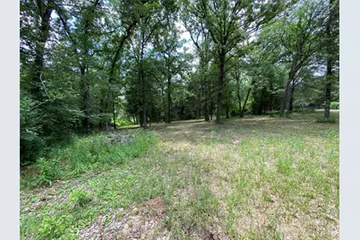 136 Buffalo Springs Road, Mabank, TX 75156 - Photo 6