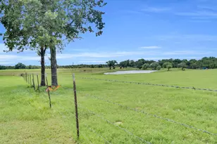 1467 Brown Rd, Palo Pinto, TX 76484 - Photo 12