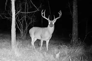 000 Tx-19, Emory, TX 75117 - Photo 1