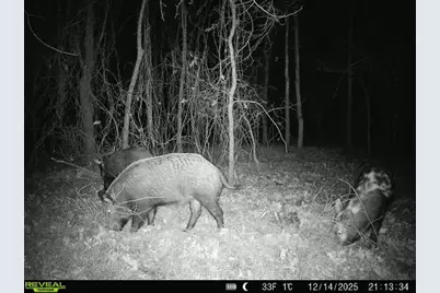 000 Tx-19, Emory, TX 75117 - Photo 18