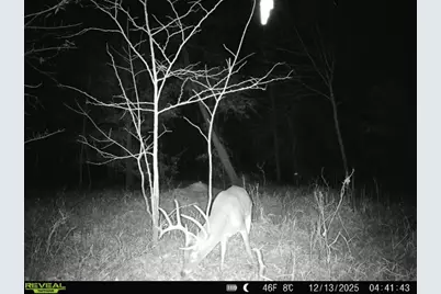 000 Tx-19, Emory, TX 75117 - Photo 8