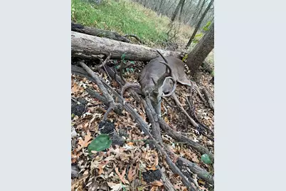 000 Tx-19, Emory, TX 75117 - Photo 20