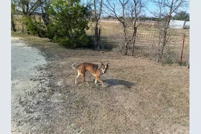 912 2357, Meridian, TX 76665 - Photo 14