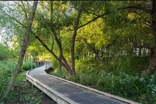 7636 Cherry Blossom Ln, Little Elm, TX 76227 - Photo 28