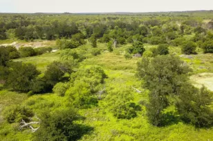 410 Co Rd 433, Mullin, TX 76864 - Photo 6