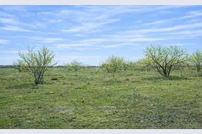 194 Lcr 614, Groesbeck, TX 76642 - Photo 8