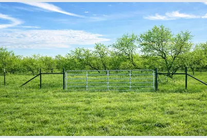 194 Lcr 614, Groesbeck, TX 76642 - Photo 18