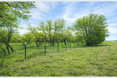 194 Lcr 614, Groesbeck, TX 76642 - Photo 16